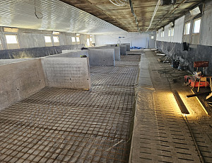 Rekonstrukce haly chovu prasat